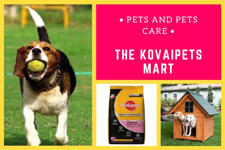 The_Kovai_Pets_Mart